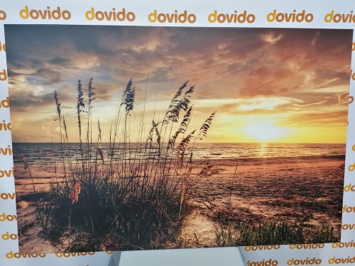 Obraz západ slunce na pláži