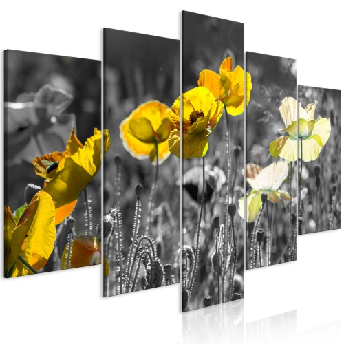 Obraz - Yellow Poppies (5 Parts) Wide