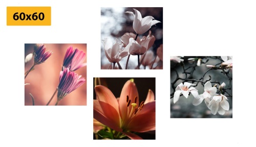Set obrazů něžnost květin