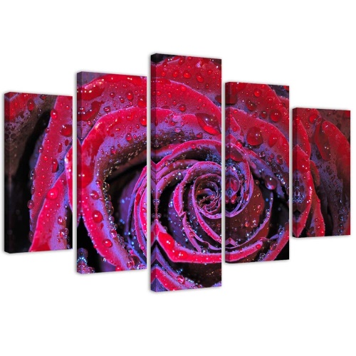 Obraz na plátně pětidílný Červená růžová květina