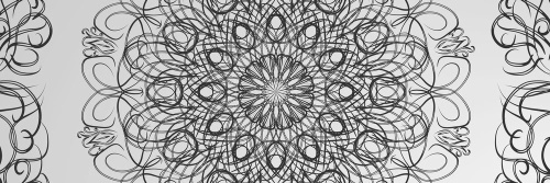 Obraz abstraktní květinová Mandala v černobílém provedení