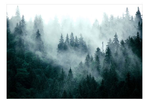 Fototapeta - Mountain Forest (Dark Green)