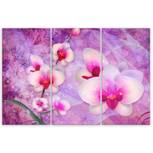 Obraz na plátně třídílný, Abstrakce orchidejí