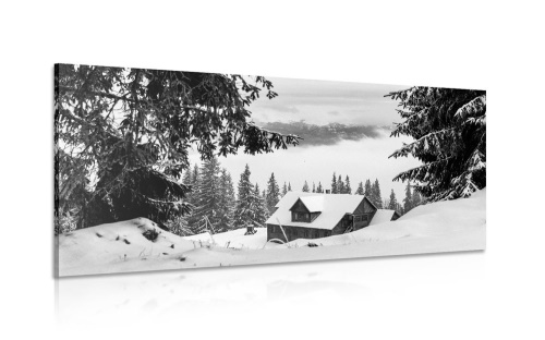 Obraz dřevěný domek u zasněžených borovicích v černobílém provedení
