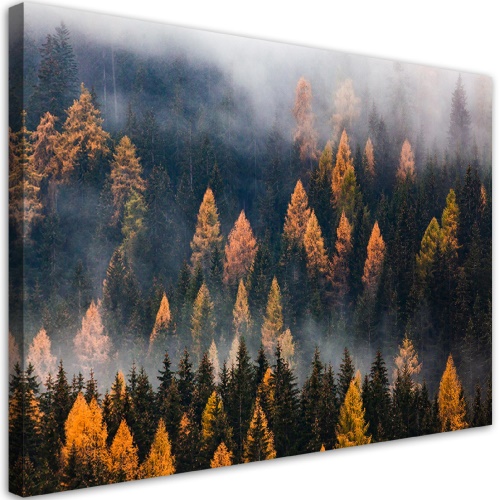 Obraz na plátně, Podzimní stromy