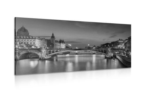 Obraz oslňujúcí panorama Paříže v černobílém provedení