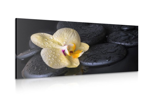Obraz Zen kameny se žlutou orchidejí