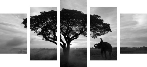 5-dílný obraz slon při východu slunce v černobílém provedení