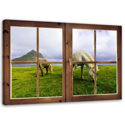 Obraz na plátně Výhled  z okna na koňskou louku