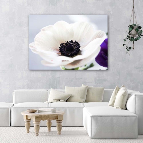 Obraz na plátně Květina Bílá příroda