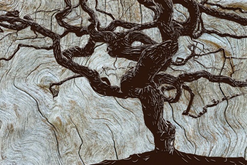 Tapeta abstraktní strom na dřevě