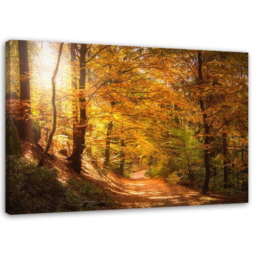 Obraz na plátně Les Podzimní krajina Příroda