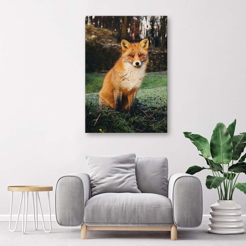 Obraz na plátně Liška Lesní příroda Zvířata
