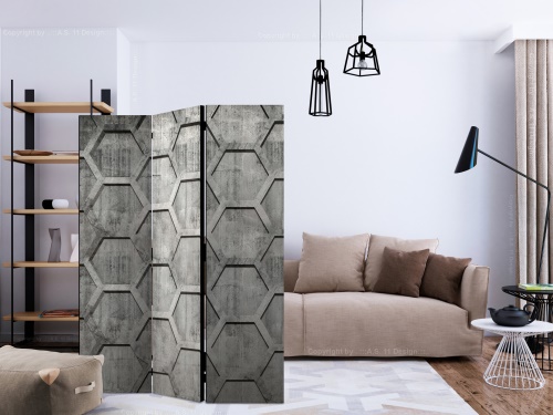 Paraván - Platinum cubes [Room Dividers]