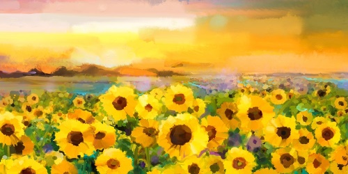 Obraz slunečnicové pole