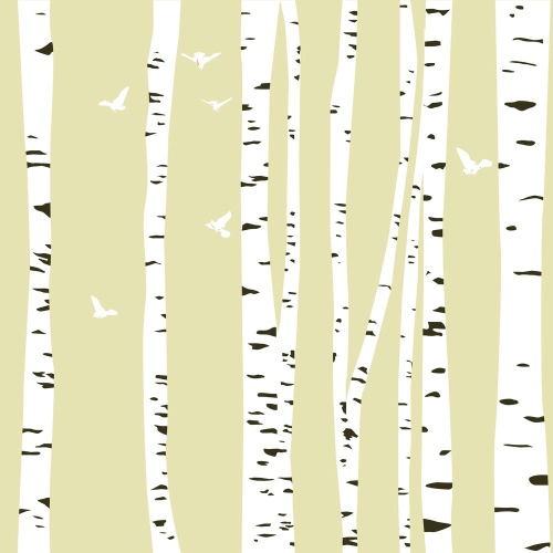 Samolepící tapeta březový les - 75x1000 cm