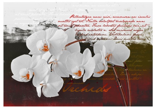 Fototapeta - Diary and orchid