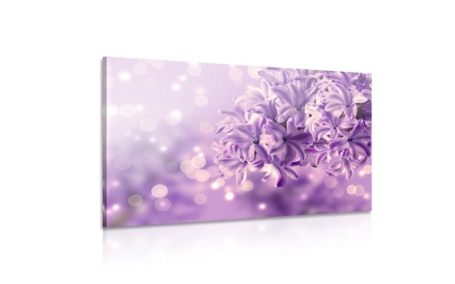 Obraz fialový květ šeříku