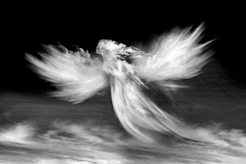Tapeta anděl v oblacích v černobílém provedení