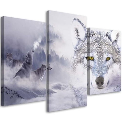 Obraz na plátně třídílný Šedý vlk Oblačný les