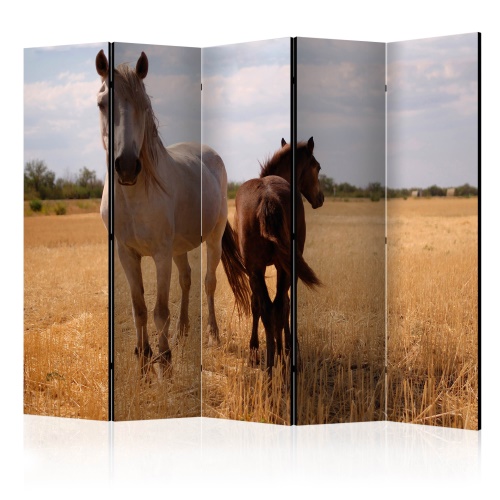 Paraván - Horse and foal II [Room Dividers]