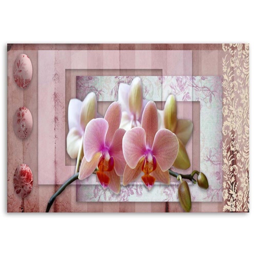 Obraz na plátně Orchidej Růžový květ