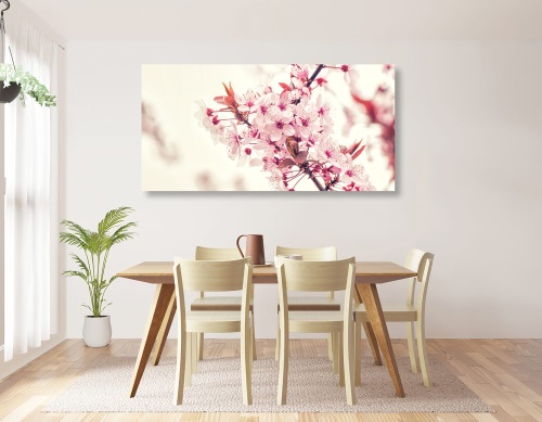Obraz růžové květy třešně