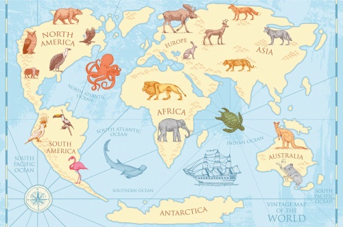 Tapeta mapa světa s lodí a zvířaty
