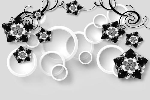 Tapeta abstraktní šperky s kruhy v černobílém