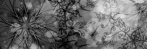 Obraz květinová Mandala v černobílém provedení
