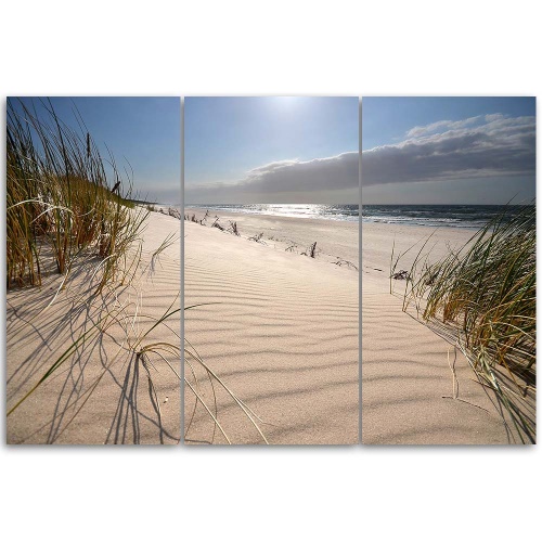 Obraz na plátně třídílný Pláž Mořské duny Příroda