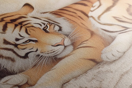 Obraz zasněný tygr