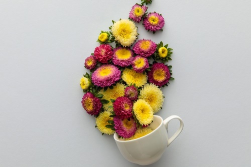 Obraz šálek plná květin