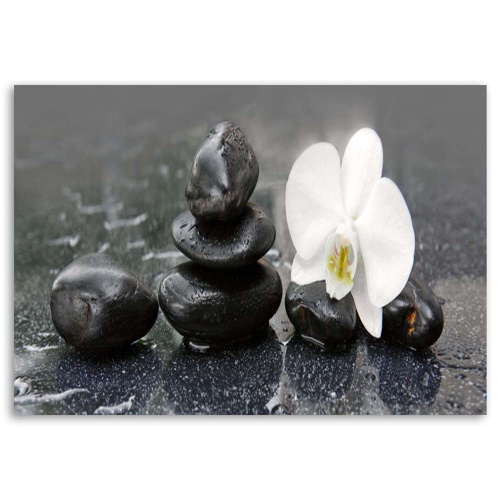 Obraz na plátně Orchid Stone Zen Spa