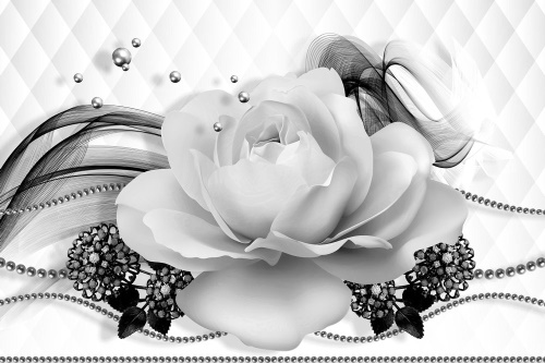 Tapeta abstraktní černobílá růže