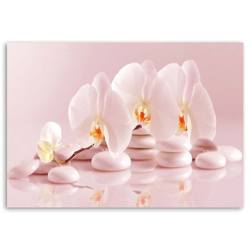 Obraz na plátně Orchidejové květinové zenové lázně