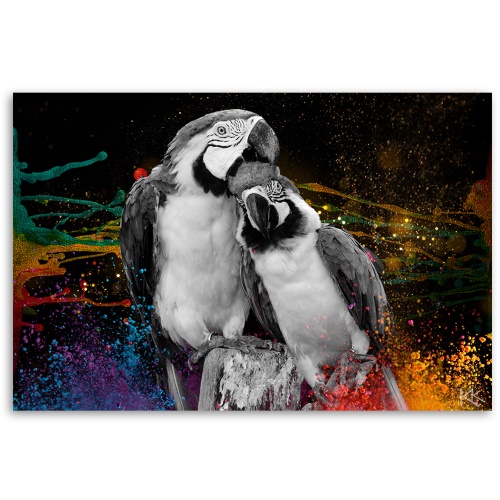 Obraz na plátně, Barevné abstrakce papoušků