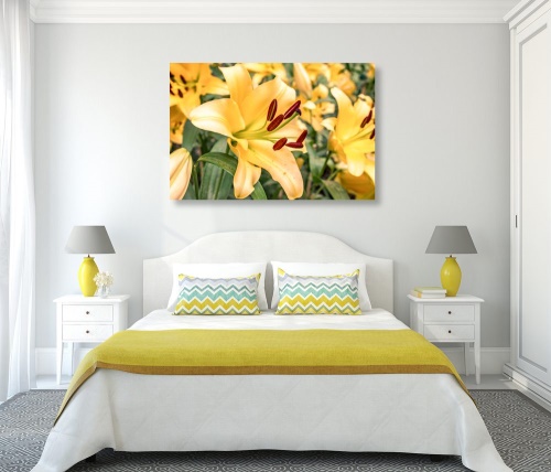 Obraz žlutá lilie