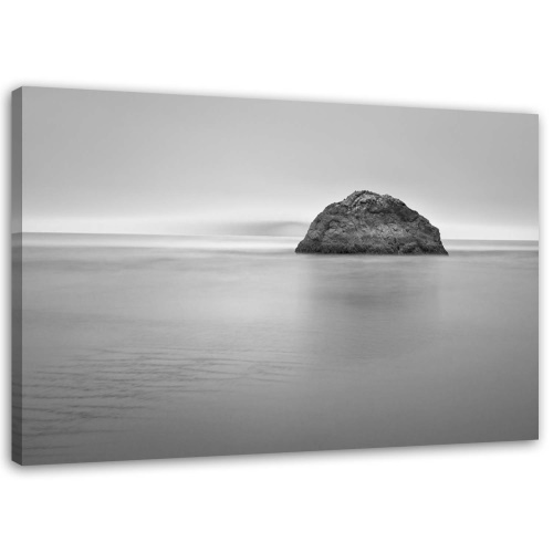 Obraz na plátně Mořská skála černá bílá