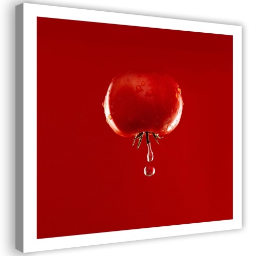 Obraz na plátně, Zeleninová voda z červených rajčat