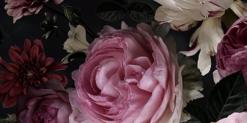 Obraz kytice květů v detailním záběru