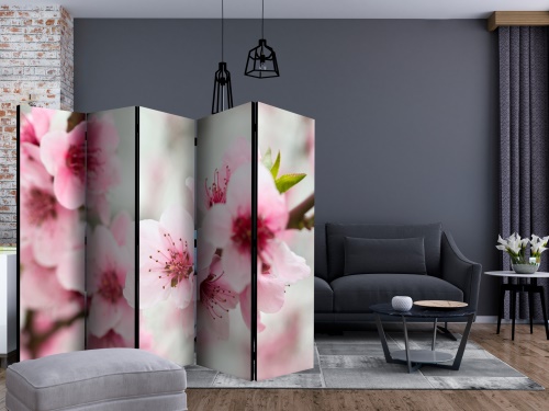 Paraván - Spring, blooming tree - pink flowers II [Room Dividers]