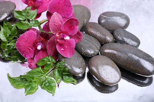 Samolepící fototapeta kvetoucí orchidej a wellness kameny