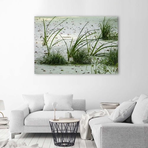 Obraz na plátně Plážový písek Tráva Zelená