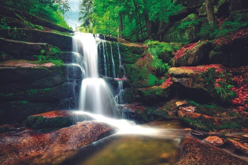 Fototapeta vodopád v lese
