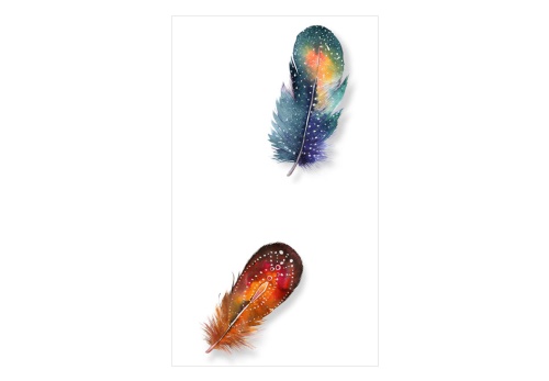 Fototapeta - Colorful Feathers