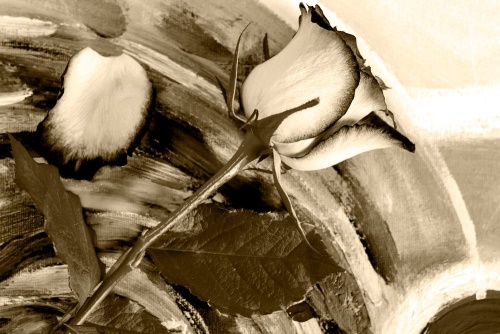 Obraz růže v sépiovém provedení