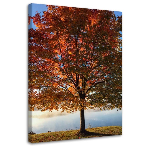 Obraz na plátně Strom Podzimní listí