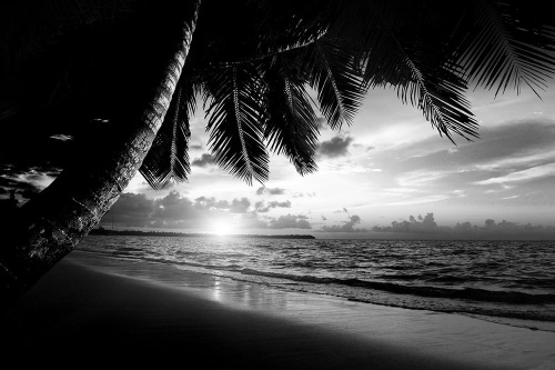 Samolepící fototapeta černobílá karibská pláž