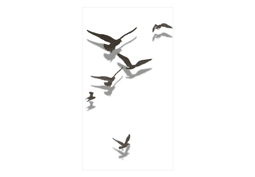 Fototapeta - Free Birds